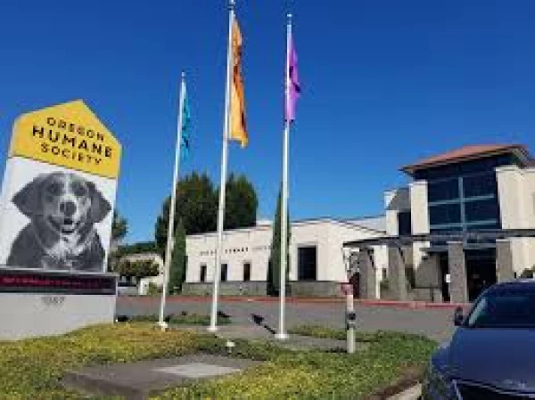 Oregon Humane Society | Lighting Upgrade