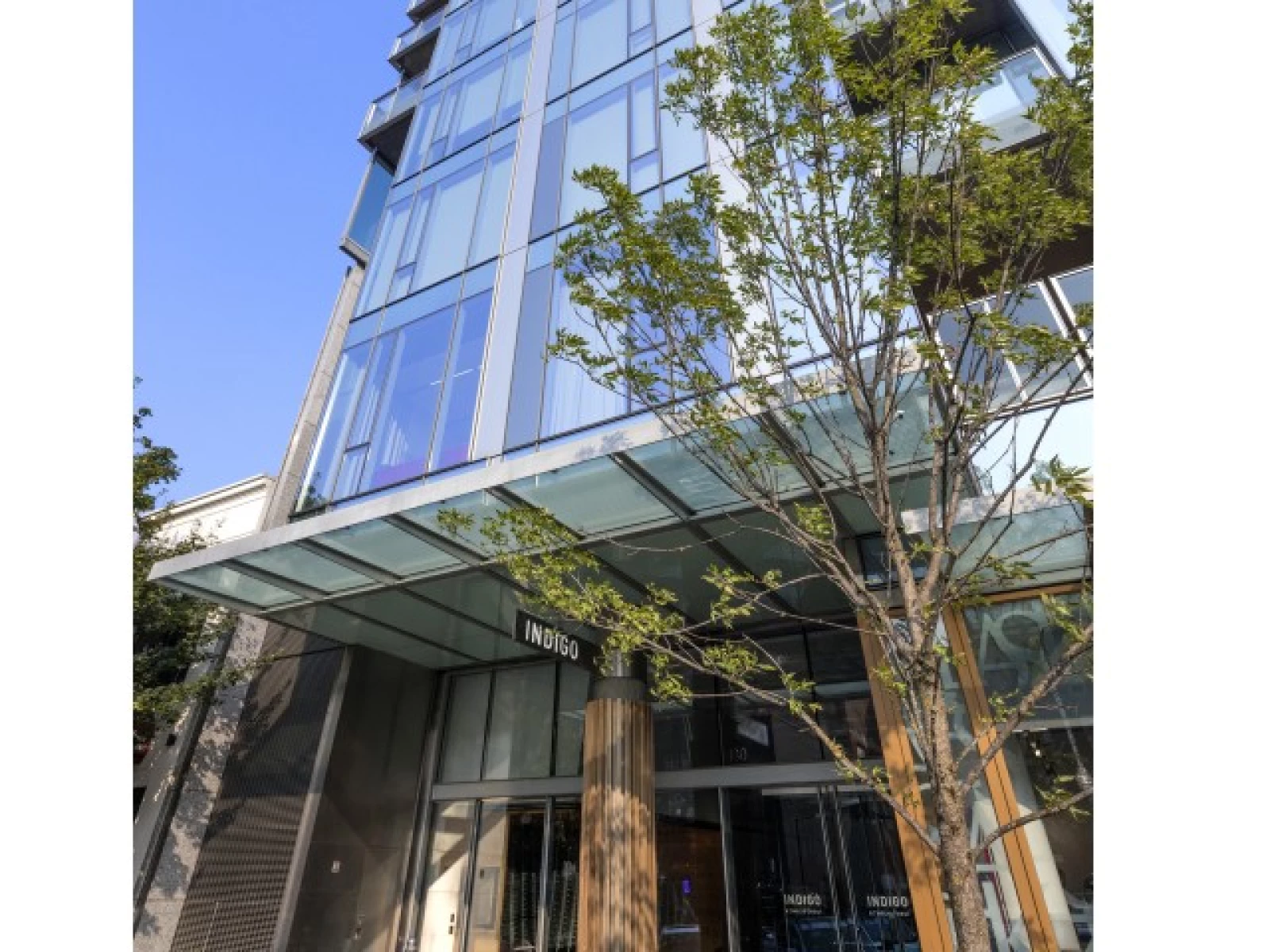 Image for Kirkland Development Group | Hotel Indigo & Kirkland Tower